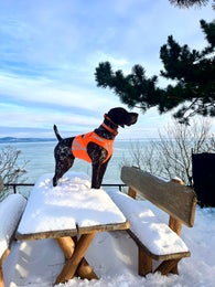 Aktiiviliivi Softshell